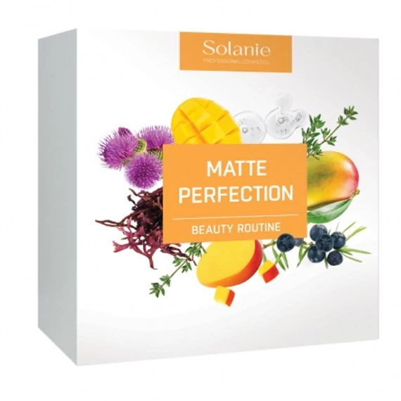 Solanie Matte Perfection Beauty Routine